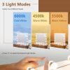 21 x 26 Mirror w/ Dimmable Lights + Removable 3X Magnifying