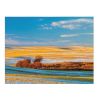 Grassland Backdrop Tapestry Landscape Decorative 43x59