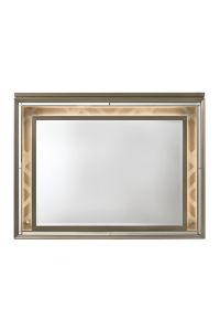 Dark Champagne ACME Skylar Mirror w/LED, 49" x 37"