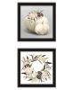 Black Framed "BOHO Pumpkins and Flowers" by House Fenway