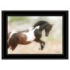 Black Framed "A Wild Kookie"  Horse Wall Art, By Kari Brooks