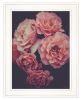 White Framed "Dreamy Rose" by Seven Trees Design