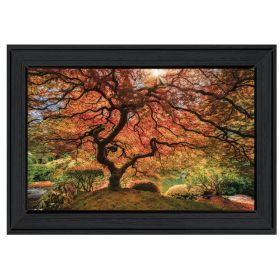 Black Framed "First Colors of Fall I" by Moises Levy