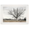 White Framed "Earth & Sky" by Lori Deiter