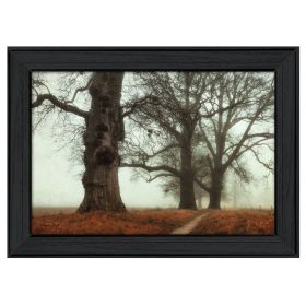 Black Framed "Misty Trees" By Martin Podt, Ready To Hang