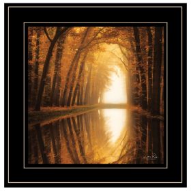 Black Framed "Lochem Reflections" by Martin Podt