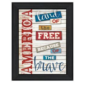 Black Framed "America - Land of the Free" By Marla Rae