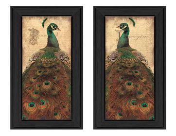 Black Frame "Peacock Collection" 2 pc Vignette By John Jones