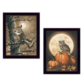 Black Framed "Autumn Owls Collection"  By John Rossini