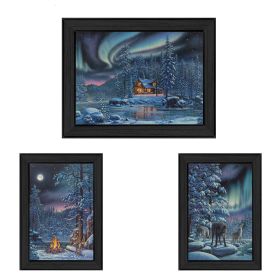 Black Framed "Rivers Of Light Collection" 3 pc By Kim Norlien