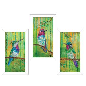 White Framed "Three Hummingbirds" Collection By Lisa Morales