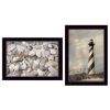 Black Frame "Cape Hatteras Lighthouse & Sea Shells Collection"  By Lori Deiter