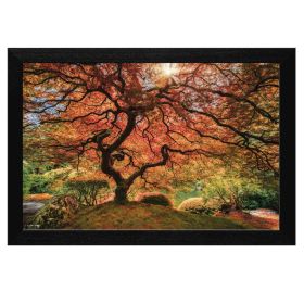 Black Frame "First Colors of Fall" by Moises Levy, Ready to hang