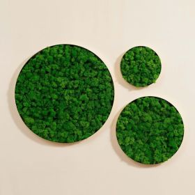 Round Framed Moss Wall Decor, Only The Medium pc, 18"