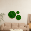 Round Framed Moss Wall Decor, Only The Medium pc, 18"