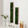 Rectangular Mixed Moss Wall Art 2pcs