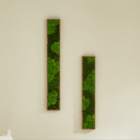 Rectangular Mixed Moss Wall Art 2pcs