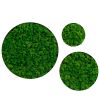 Round Framed Moss Wall Decor, Only The Small pc, 11.8"