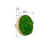 Round Framed Moss Wall Decor, Only The Small pc, 11.8"