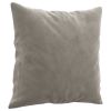 Throw Pillows 2 pcs Light Gray 15.7" x 15.7" Velvet