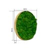 Round Framed Moss Wall Decor, Only The Medium pc, 18"