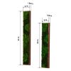 Rectangular Mixed Moss Wall Art 2pcs