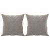 Throw Pillows 2 pcs Light Gray 15.7" x 15.7" Velvet