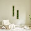 Rectangular Mixed Moss Wall Art 2pcs