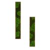 Rectangular Mixed Moss Wall Art 2pcs