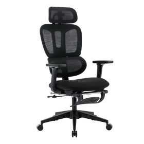 Ergonomic Mesh Office Chair, 2D Adjustable Armrest, High Back (Color: black)