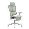 Ergonomic Mesh Office Chair, 2D Adjustable Armrest, High Back