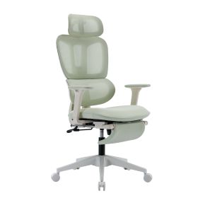 Ergonomic Mesh Office Chair, 2D Adjustable Armrest, High Back (Color: green)