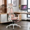 Ergonomic Mesh Office Chair, 2D Adjustable Armrest, High Back