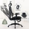 Ergonomic Mesh Office Chair, 2D Adjustable Armrest, High Back