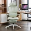 Ergonomic Mesh Office Chair, 2D Adjustable Armrest, High Back