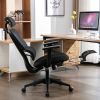 Ergonomic Mesh Office Chair, 2D Adjustable Armrest, High Back