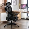 Ergonomic Mesh Office Chair, 2D Adjustable Armrest, High Back