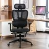 Ergonomic Mesh Office Chair, 2D Adjustable Armrest, High Back